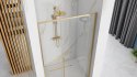 DRZWI PRYSZNICOWE SOLAR GOLD 120