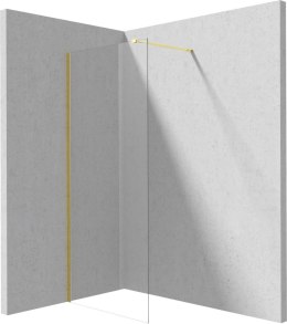 Ścianka prysznicowa walk-in 70 cm