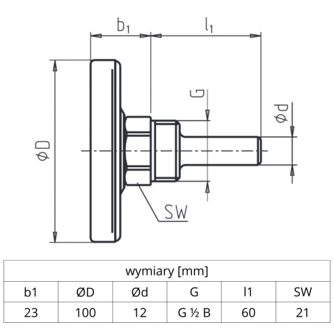 Termometr bimetaliczny WIKA A46 NS100 Termometr bimetaliczny WIKA A46 NS100