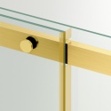Drzwi prysznicowe rozsuwane Porta - GOLD 100 cm