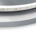 Lustro ścienne P11240 LED BAS 585 mm